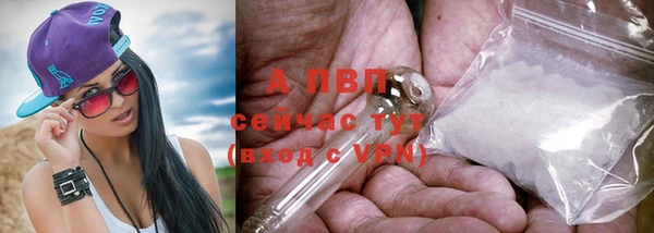 каннабис Бородино