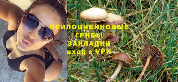 каннабис Бородино