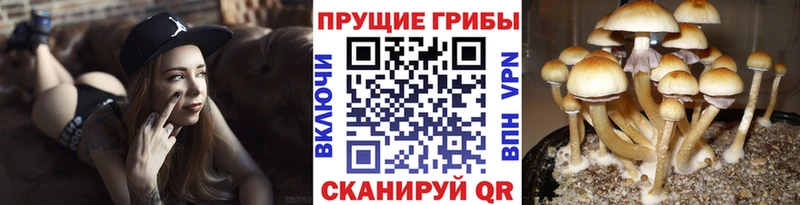 Псилоцибиновые грибы прущие грибы  Джанкой 
